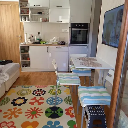 Апартаменты Iggy *