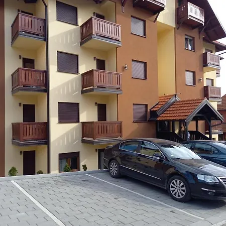 Iggy Златибор